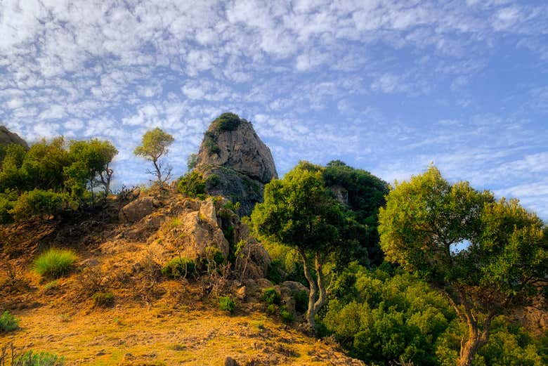 I paesaggi dell'Aspromonte