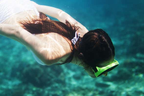 Snorkel na Reserva Marinha de Portofino