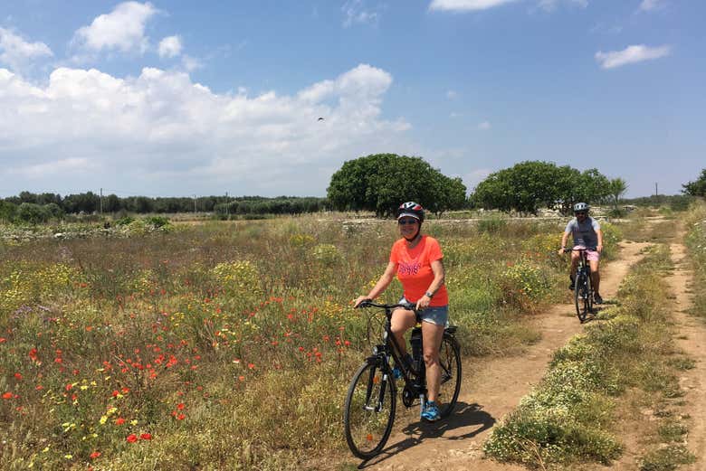 Campos por los que pasaremos durante la ruta