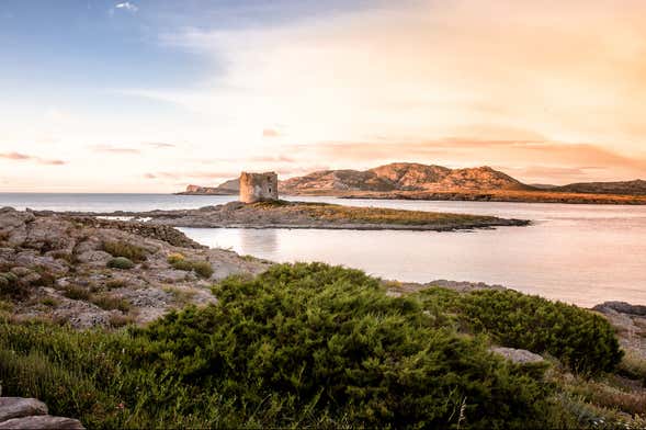 Gulf of Asinara Sunset Catamaran Trip