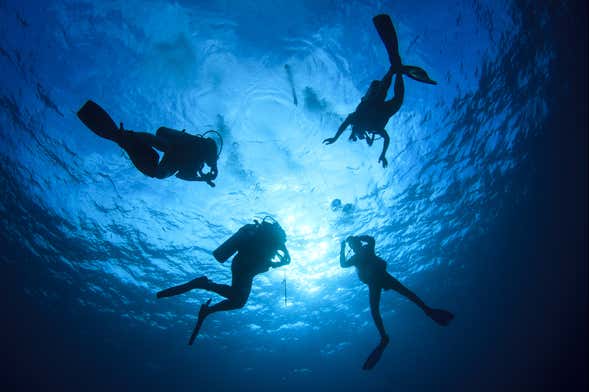 Beginner's Diving Class in Taranto