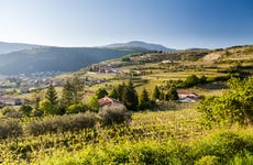 Valpolicella Electric Bike Wine Tour