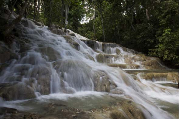 Bob Marley, Dunn's River Falls & Luminous Lagoon Tour