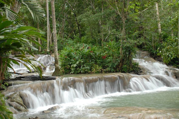 places to eat in the river jamaica｜TikTok Search