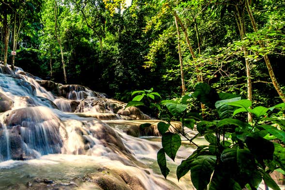 Bob Marley & Dunn's River Falls Tour