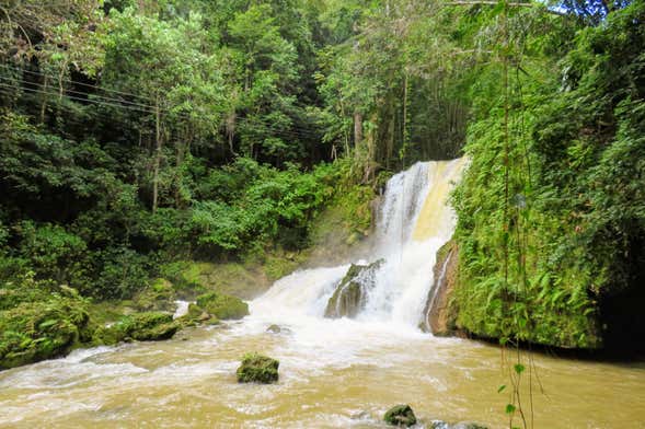 Escursione a Black River e alle Cascate YS