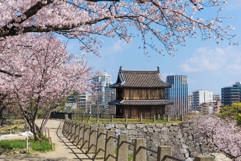 El Castillo de Fukuoka en el Parque Maizuru