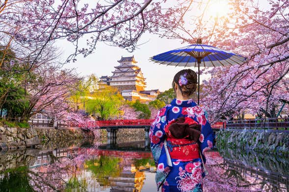 Himeji Castle Guided Tour