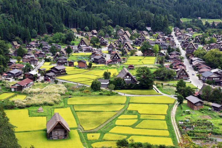 Panorámica de Shirakawago en el verano