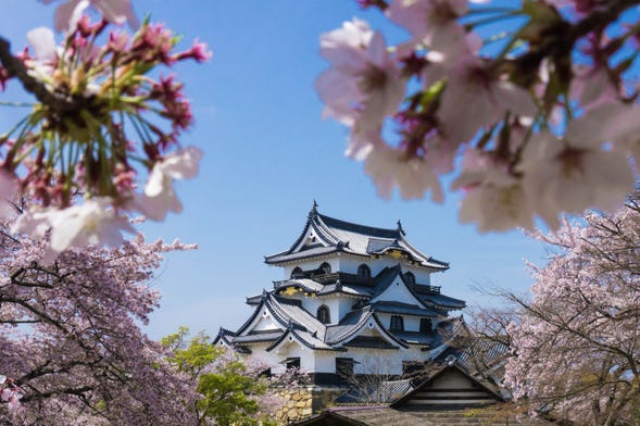 Escursione privata a Osaka