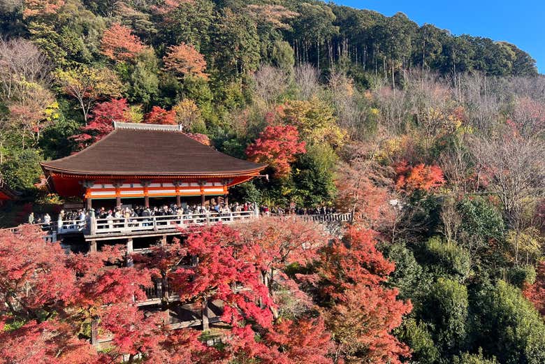 Visitaremos el Templo Kiyomizudera