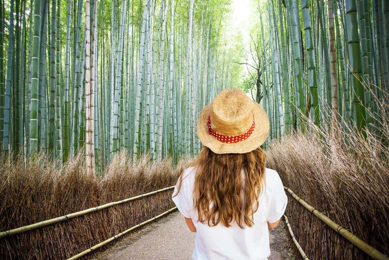 Caminando por el bosque de bambú de Arashiyama