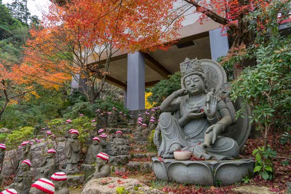 Tour privado por Miyajima con guía en español