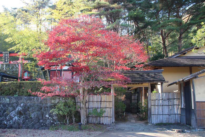 Visit Edo Wonderland Nikko Edomura