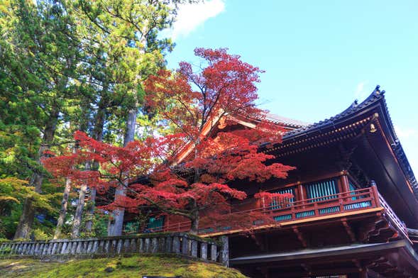 Nikkō World Heritage Area Pass