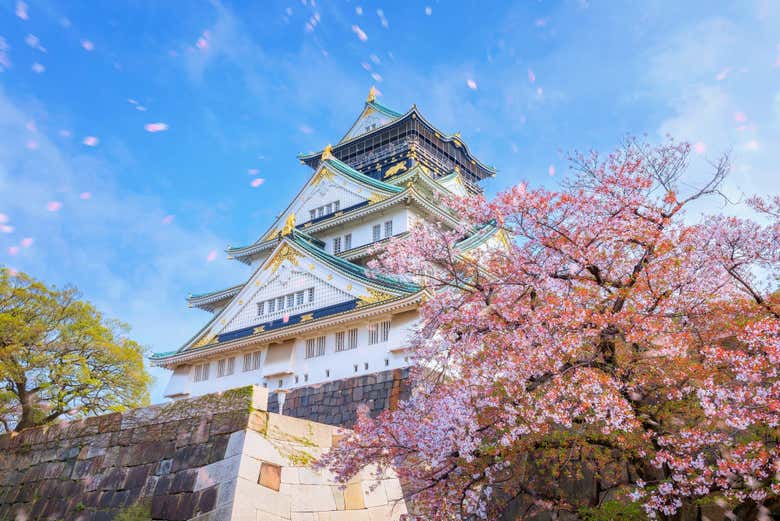 Château d'Osaka au printemps