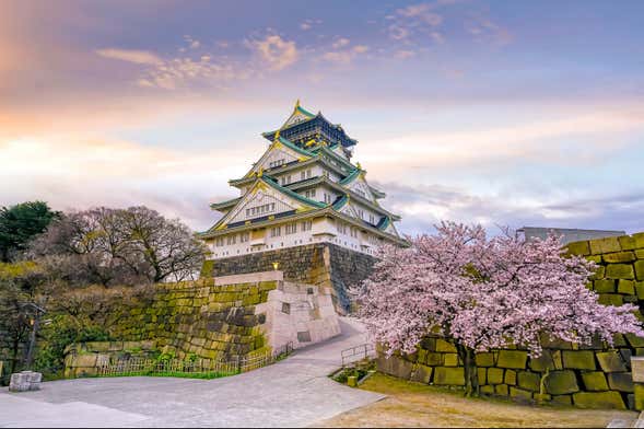 Tour privado por Osaka