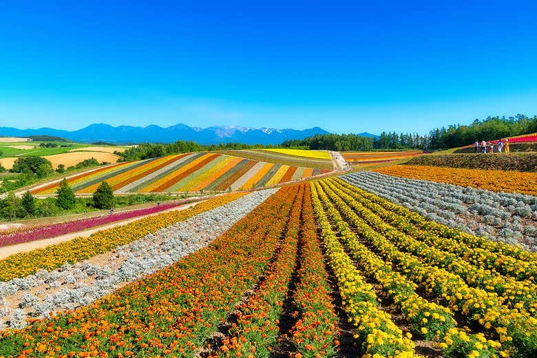 ¡Será una excursión llena de belleza natural!