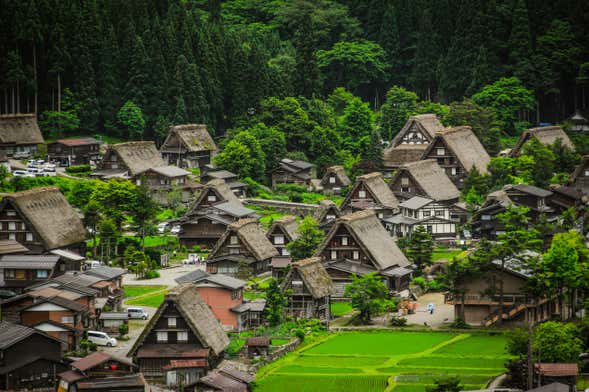 Guided tour of Shirakawa