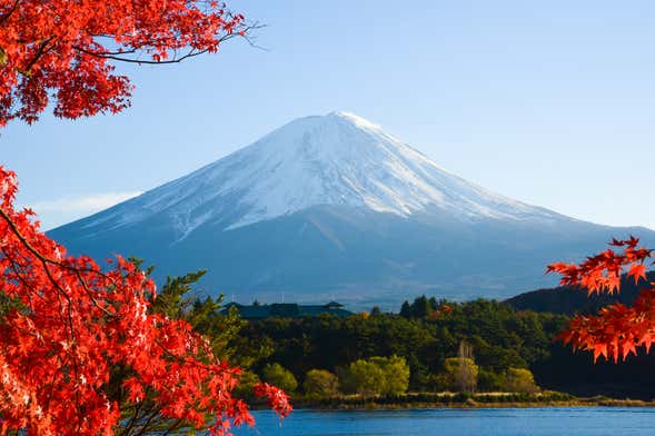 Excursión privada al monte Fuji