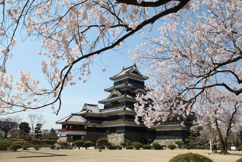 Castillo Matsumoto