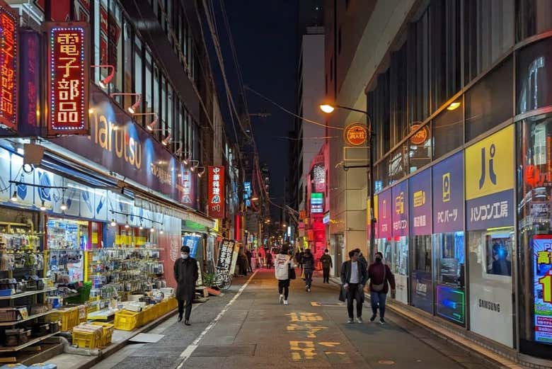 Recorriendo las calles de Akihabara y Ueno