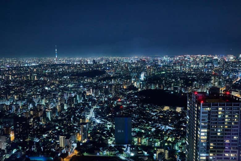 Vistas de Tokio al anochecer desde el observatorio