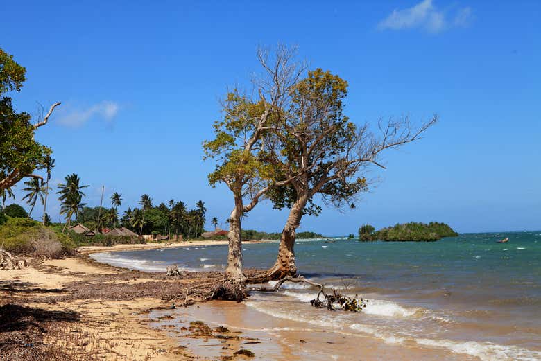 Admire the natural landscape in Funzi Island