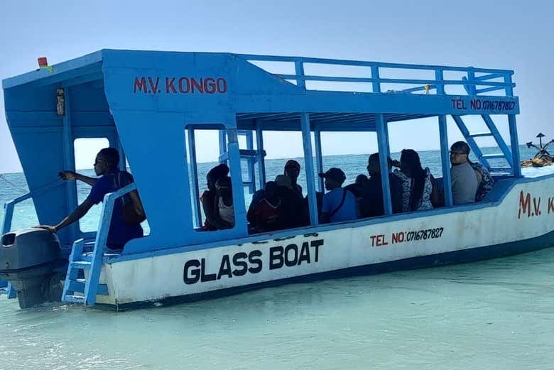 Glass-bottom boat tour