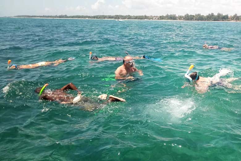 Ready to go snorkelling?