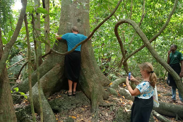 Descubriréis el bosque sagrado mejor conservado de Diani