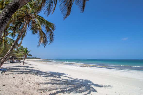 Diani Beach Day Trip