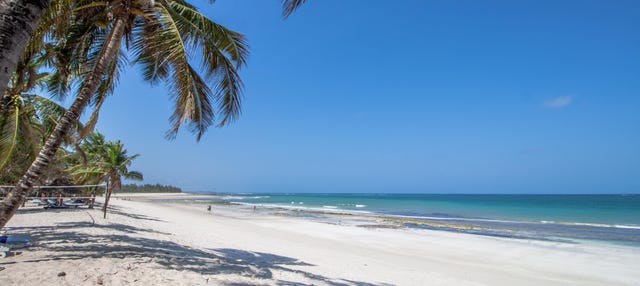 Diani Beach Day Trip