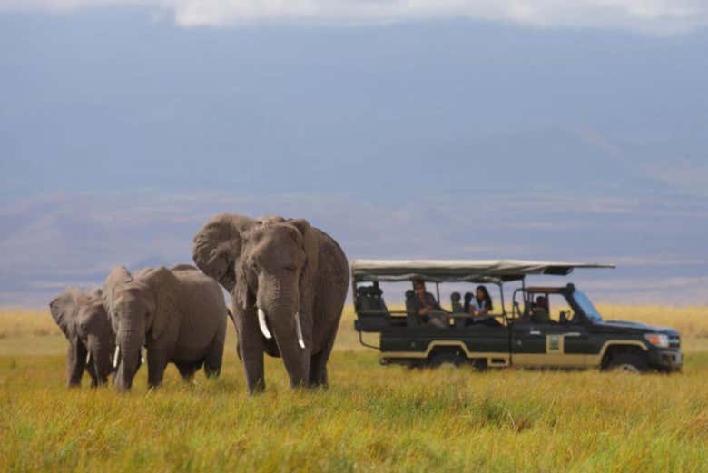 7-day safari in Kenya