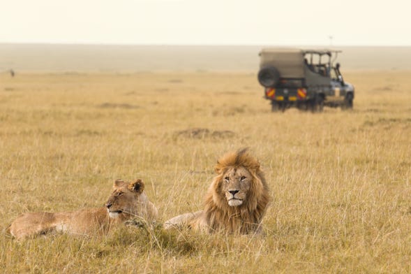 In Kenya, il safari ispirato al film “Il Re Leone”