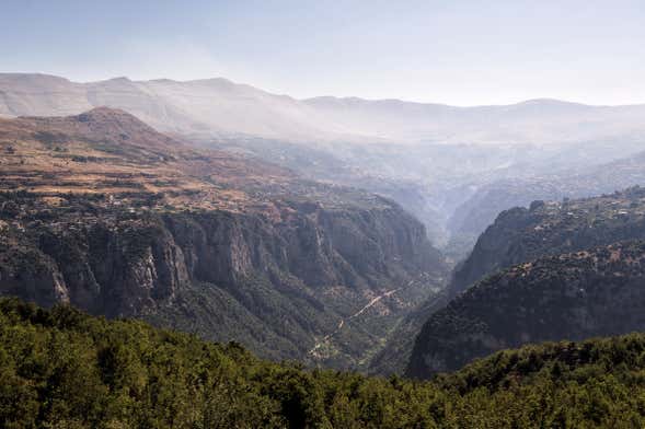 Excursión al Valle de Qadisha y el bosque de los Cedros de Dios