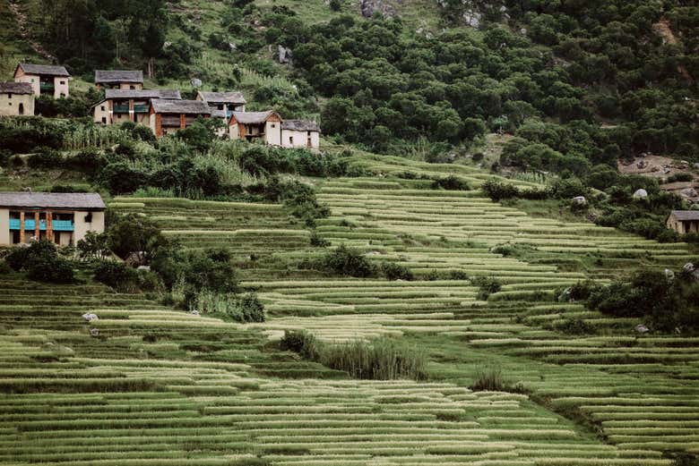 Bello paisaje de Madagascar