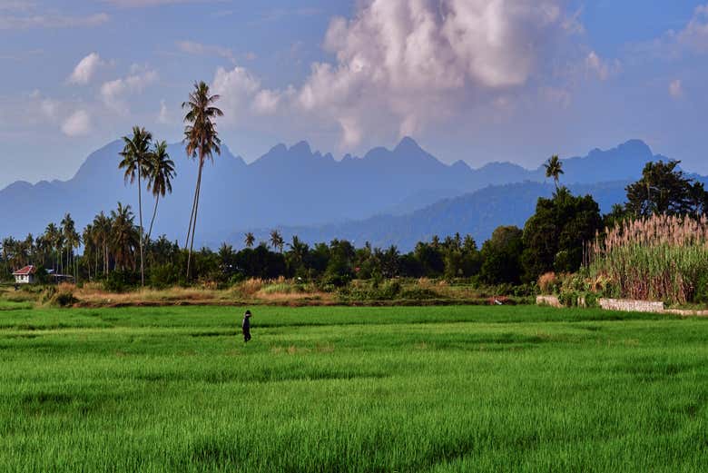 Paisaje rural de Langkawi