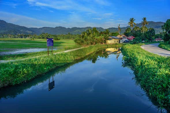 Penang Bike Tour