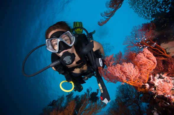 Mergulho em Addu