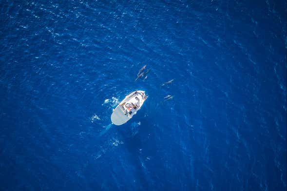 Boat Hire with Skipper in Maafushi