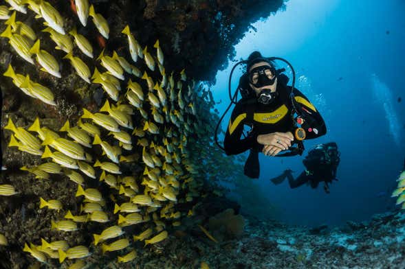 Maafushi Beginners Diving Lesson