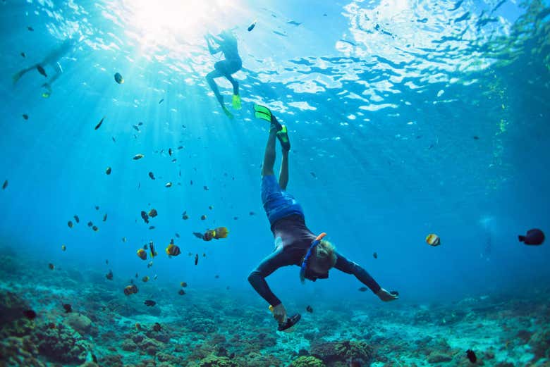 Snorkeling à Villingili