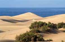 Excursión a Tiznit + Desert Safari