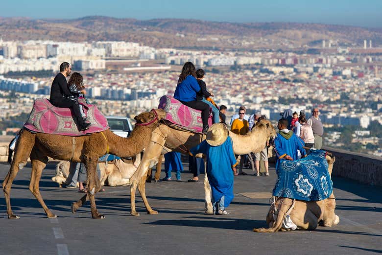 Balade en chameau dans Agadir