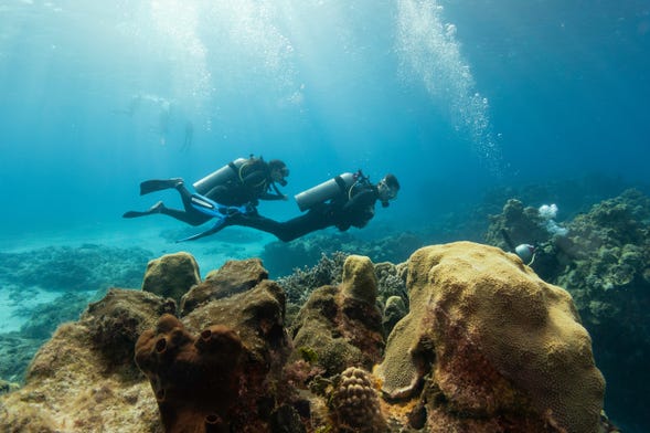 Bautismo de buceo en Dajla