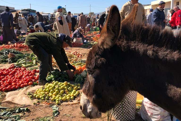 Tour di un mercato amazigh