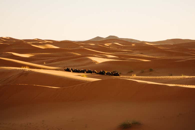 Dunas douradas do deserto de Merzouga