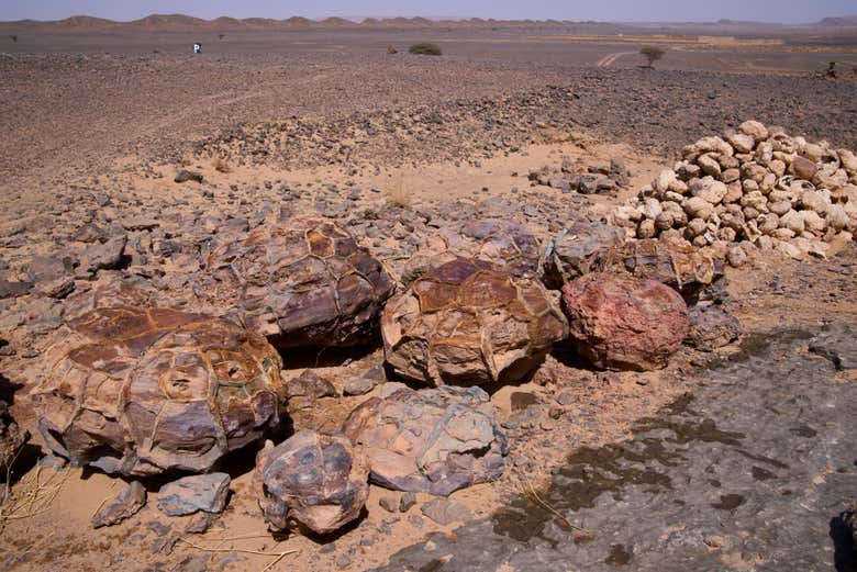 Visitaremos la cantera de fósiles de Erfoud