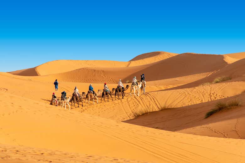 Paseando en camello por el desierto